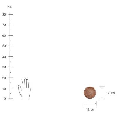 Plan & Dimensions