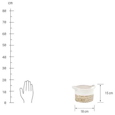 Plan & Dimensions