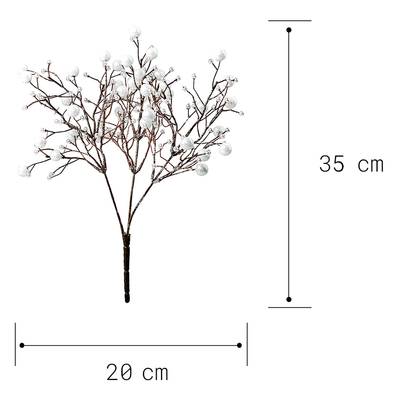 Plan & Dimensions