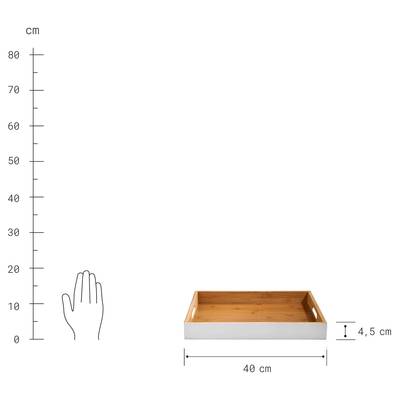 Plan & Dimensions