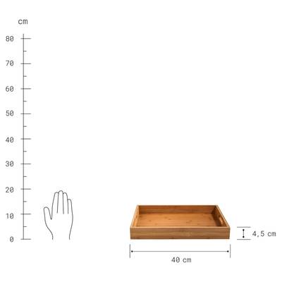 Plan & Dimensions