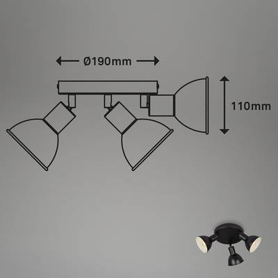 Plan & Dimensions