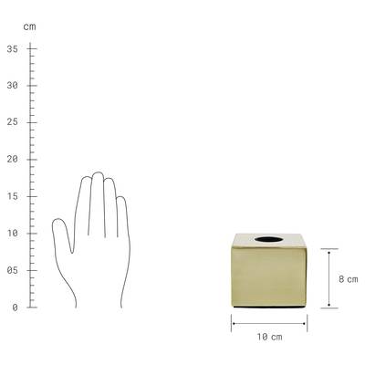 Plan & Dimensions