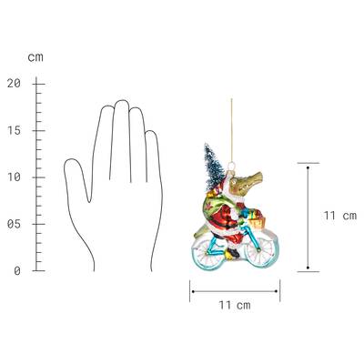 Plan & Dimensions