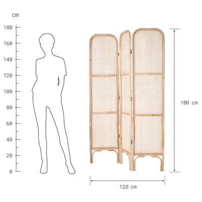 Plan & Dimensions