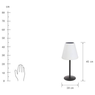 Plan & Dimensions