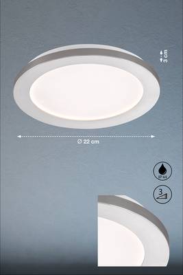 Plan & Dimensions