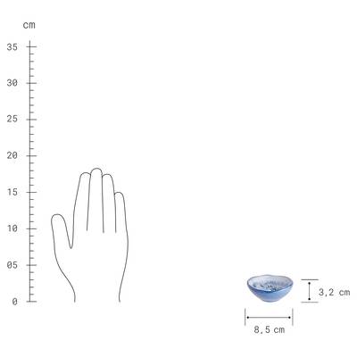 Plan & Dimensions