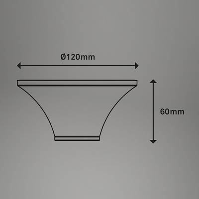 Plan & Dimensions