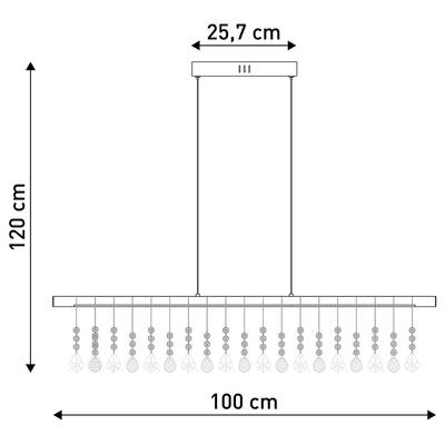 Plan & Dimensions