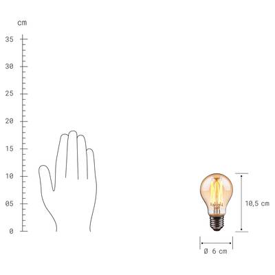 Plan & Dimensions