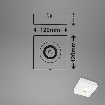 Plan & Dimensions