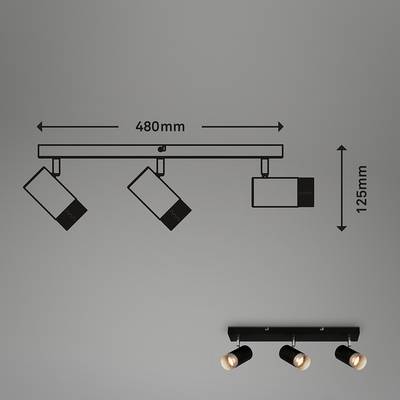 Plan & Dimensions