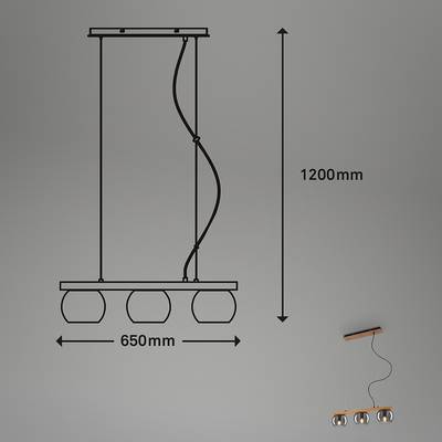 Plan & Dimensions