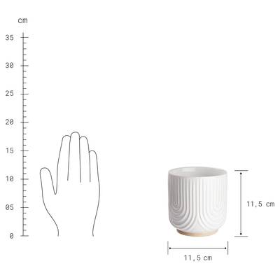 Plan & Dimensions