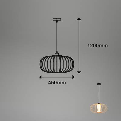 Plan & Dimensions