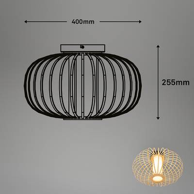 Plan & Dimensions