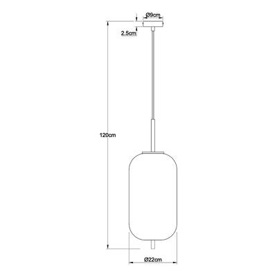 Plan & Dimensions