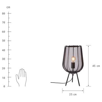 Plan & Dimensions