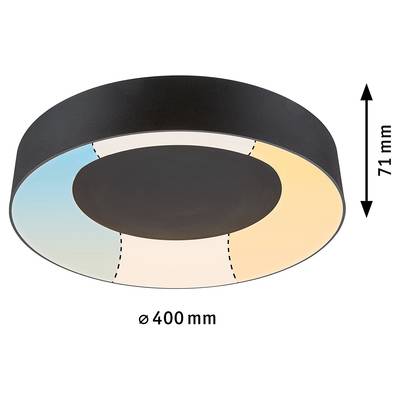 Plan & Dimensions