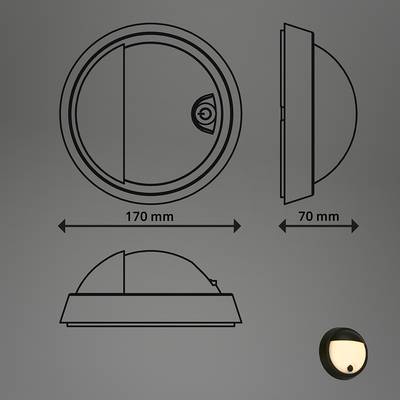 Plan & Dimensions