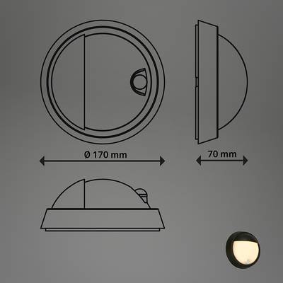 Plan & Dimensions