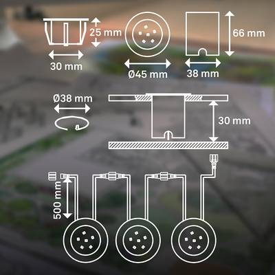 Plan & Dimensions