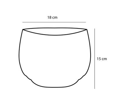 Plan & Dimensions