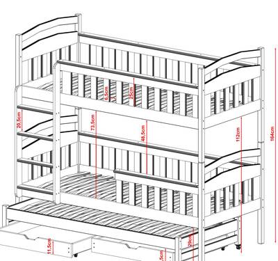 Plan & Dimensions