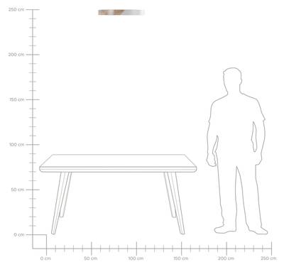 Plan & Dimensions