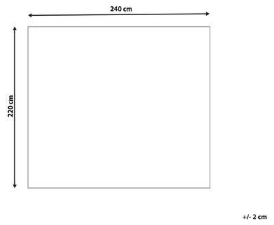 Plan & Dimensions