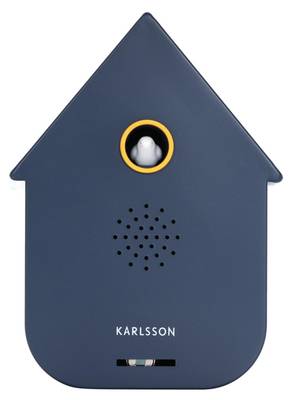 Ornament Sound Box Modern Cuckoo