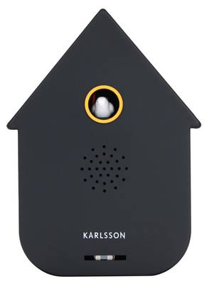 Ornament Sound Box Modern Cuckoo