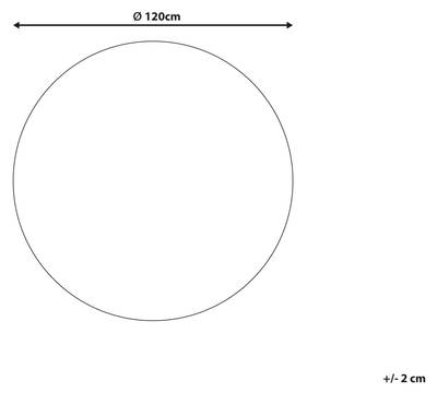 Plan & Dimensions