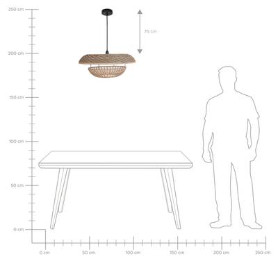 Plan & Dimensions