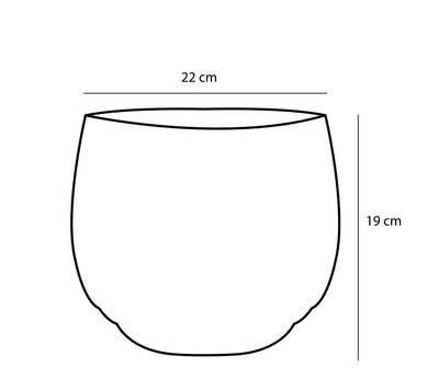 Plan & Dimensions