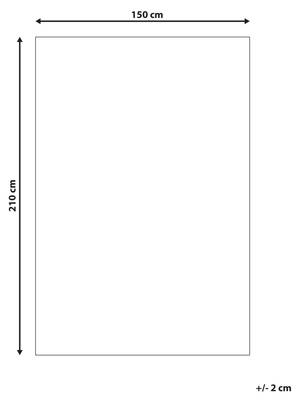 Plan & Dimensions