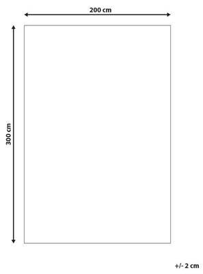 Plan & Dimensions
