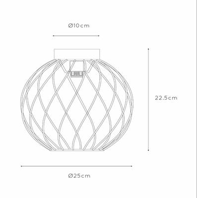 Plan & Dimensions