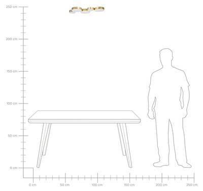 Plan & Dimensions