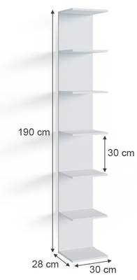 Plan & Dimensions