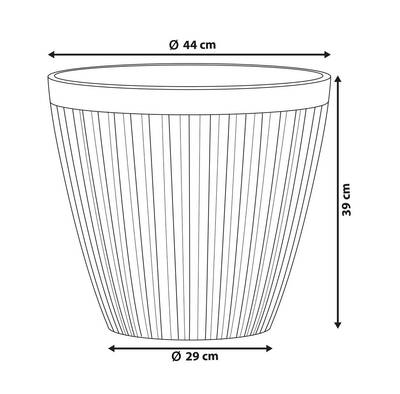 Plan & Dimensions