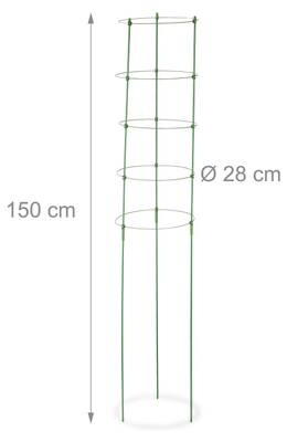 Plan & Dimensions