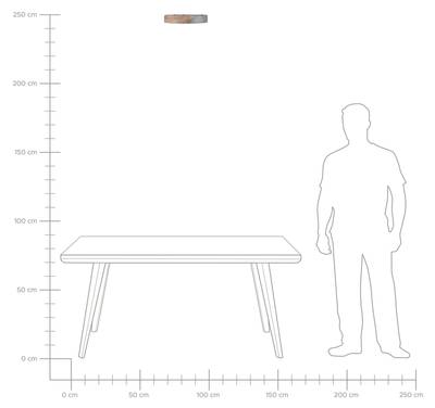 Plan & Dimensions