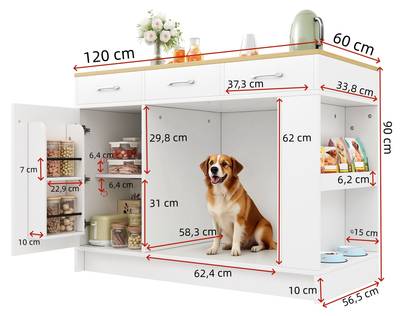 Plan & Dimensions