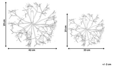 Plan & Dimensions