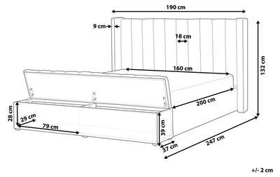 Plan & Dimensions