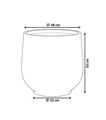 Plan & Dimensions