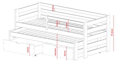 Plan & Dimensions