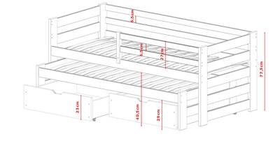 Plan & Dimensions